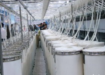 2008年纺织产业集群发展新亮点四步解析