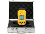 便携式臭气检测仪 TN206-odor