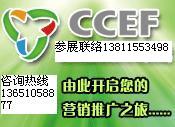 2011年深圳消费电子展会